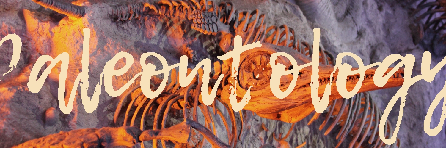 Home Slider TSTS - Paleontology